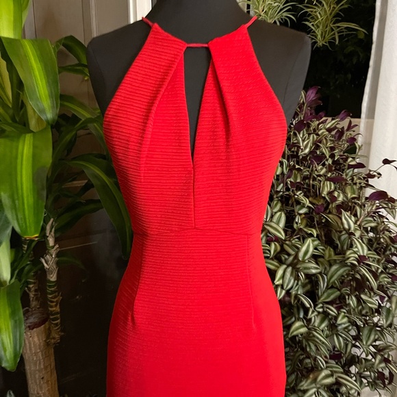 Lush - Picture 4 of 10